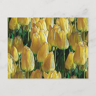 Zonnegeltulpen Briefkaart