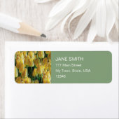 Zonnegeltulpen Etiket (Insitu)