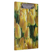 Zonnegeltulpen Klembord (Rechts)