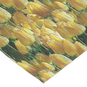 Zonnegeltulpen Korte Tafelloper (Hoek)