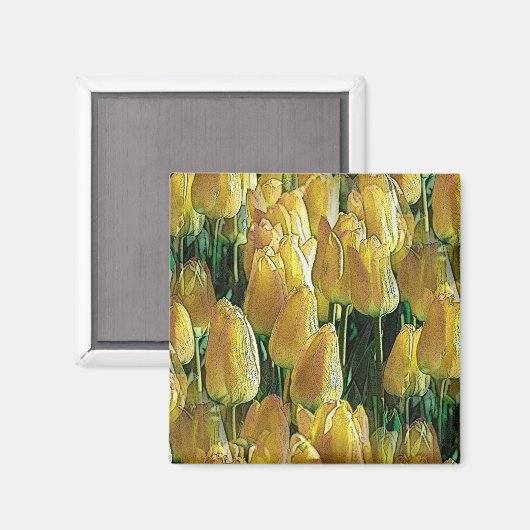 Zonnegeltulpen Magneet (Voorkant / Achterkant)
