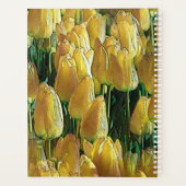 Zonnegeltulpen Planner (Achterkant)