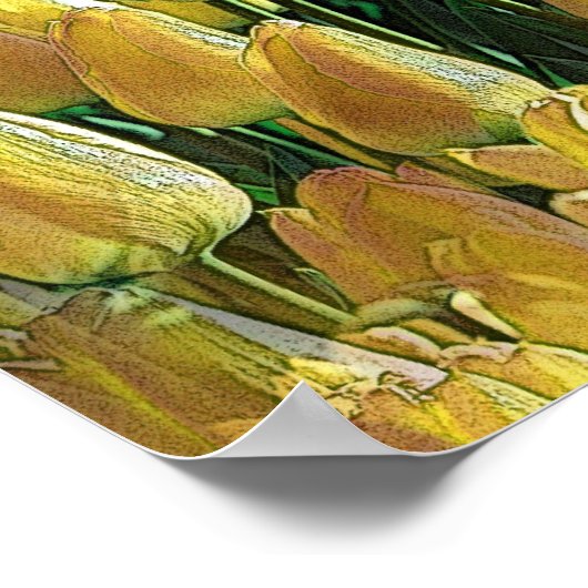 Zonnegeltulpen Poster (Hoek)