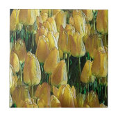 Zonnegeltulpen Tegeltje (Voorkant)