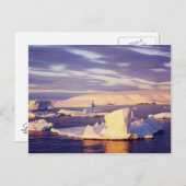 Zonnegeluid, briefkaart (Voorkant / Achterkant)