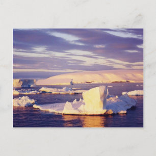 Zonnegeluid, briefkaart