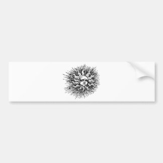 Zonnegezicht Bumpersticker