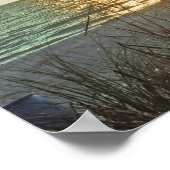 Zonnehaver en zee haver poster (Hoek)