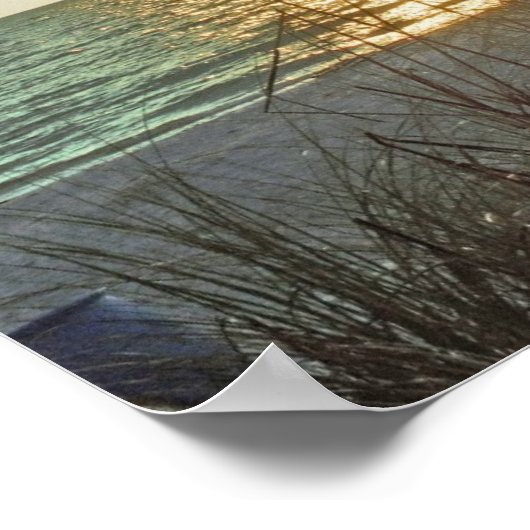 Zonnehaver en zee haver poster (Hoek)