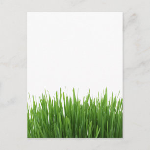 Zonneheldere foto van groene gras briefkaart