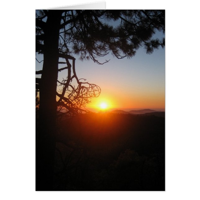 zonnehemden 2 (Voorkant)