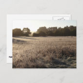 Zonnehoogte in het Beer Valley Trailhead Landscape Briefkaart (Voorkant / Achterkant)