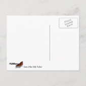 Zonnehoogte in het Beer Valley Trailhead Landscape Briefkaart (Achterkant)