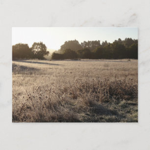 Zonnehoogte in het Beer Valley Trailhead Landscape Briefkaart