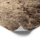 Zonnehoogte in het Beer Valley Trailhead Landscape Poster (Hoek)