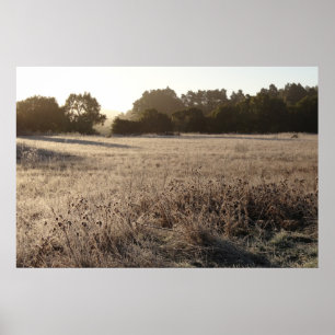 Zonnehoogte in het Beer Valley Trailhead Landscape Poster