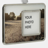 Zonnehoogte in het Beer Valley Trailhead Landscape Verzilverd Omlijst Ornament (Rechts)