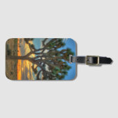 Zonnehoogte in het Nationaal Park Joshua Bagagelabel (Voorkant (horizontaal))