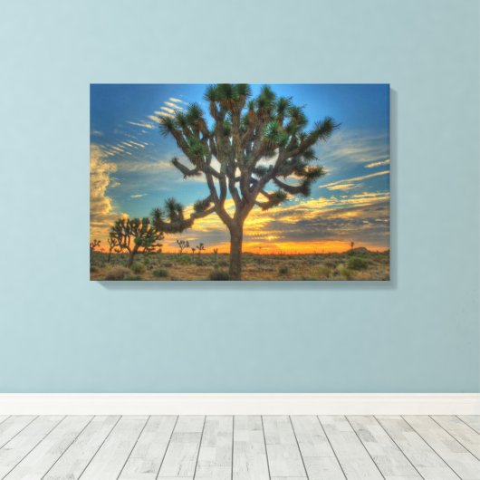Zonnehoogte in het Nationaal Park Joshua Canvas Afdruk (Insitu (Houten vloer))