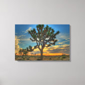 Zonnehoogte in het Nationaal Park Joshua Canvas Afdruk (Voorkant)
