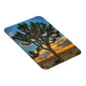 Zonnehoogte in het Nationaal Park Joshua Magneet (Rechterzijde)