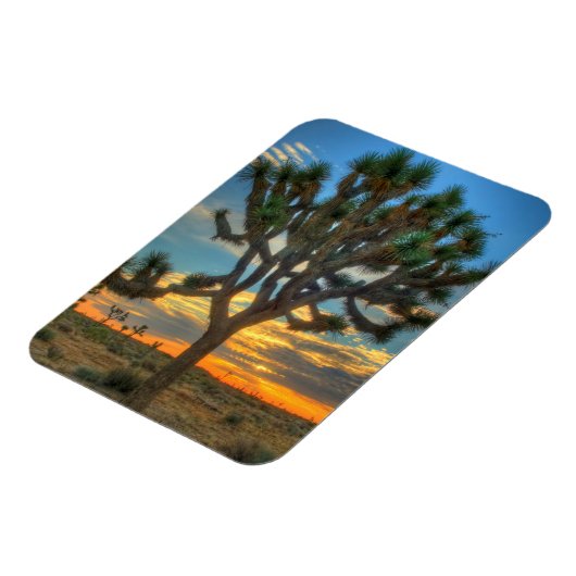 Zonnehoogte in het Nationaal Park Joshua Magneet (Linkerzijde)