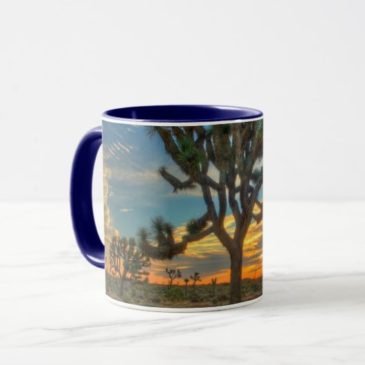 Zonnehoogte in het Nationaal Park Joshua Mok (Voorkant links)