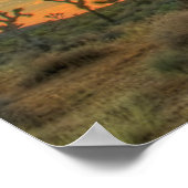 Zonnehoogte in het Nationaal Park Joshua Poster (Hoek)