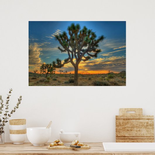 Zonnehoogte in het Nationaal Park Joshua Poster (Keuken)