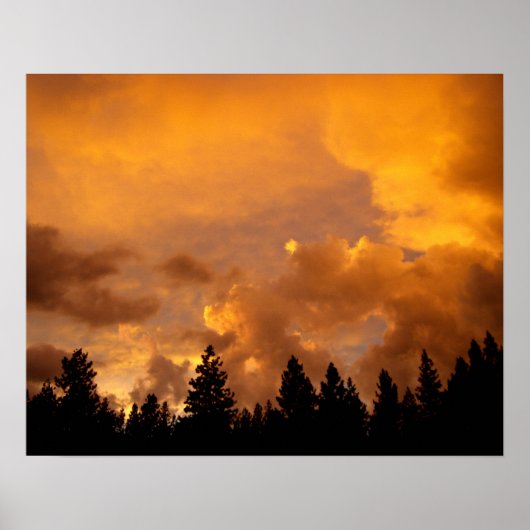 Zonnehuis in de Sierras Poster (Voorkant)