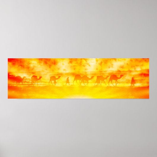 Zonnekamelekaravaanposter Poster (Voorkant)
