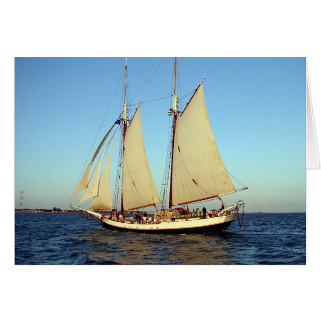 zonneklapper (Voorkant Horizontaal)