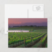 Zonnekleur in de verafgelegen mist achter briefkaart (Voorkant / Achterkant)