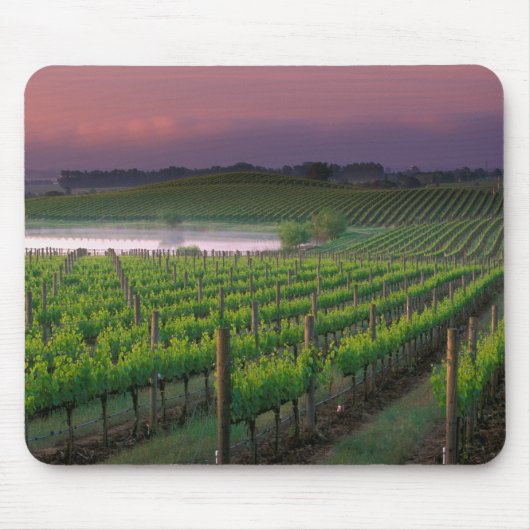 Zonnekleur in de verafgelegen mist achter muismat (Voorkant)