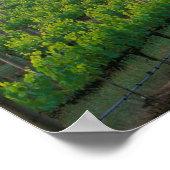 Zonnekleur in de verafgelegen mist achter poster (Hoek)