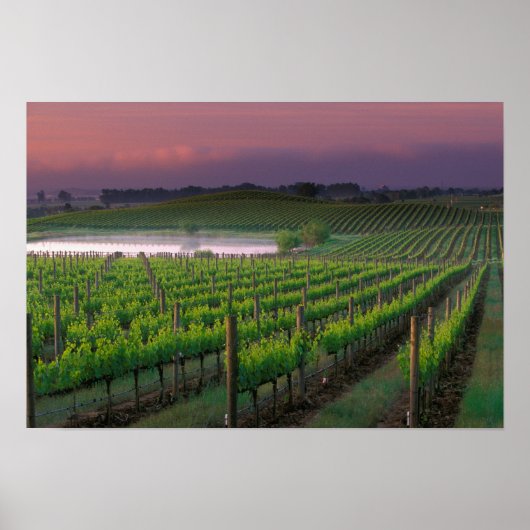 Zonnekleur in de verafgelegen mist achter poster (Voorkant)