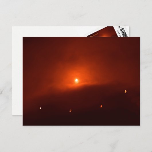 Zonneknipsel. Briefkaart (Voorkant / Achterkant)