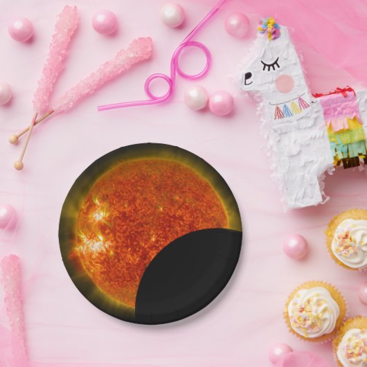 Zonneknipsel in uitvoering papieren bordje (Feest)