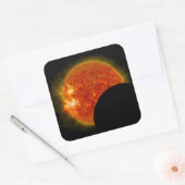 Zonneknipsel in uitvoering vierkante sticker (Envelop)