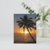 Zonnekokokospalm Fiji vrede en vreugde Briefkaart (Staand voorkant)