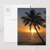 Zonnekokokospalm Fiji vrede en vreugde Briefkaart (Voorkant / Achterkant)