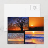 Zonnekraakbeen-Briefkaart Briefkaart (Voorkant / Achterkant)