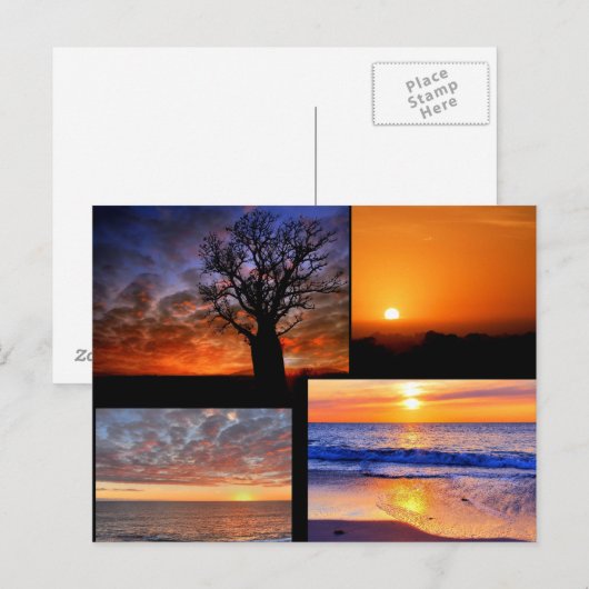 Zonnekraakbeen-Briefkaart Briefkaart (Voorkant / Achterkant)