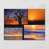 Zonnekraakbeen-Briefkaart Briefkaart (Voorkant)