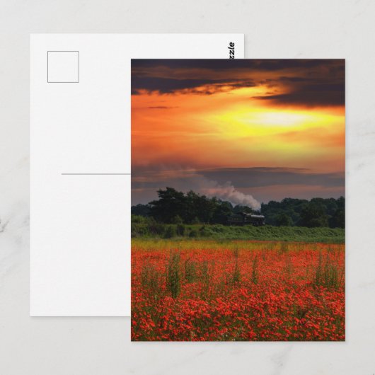 Zonnekrabben en stoomlocomotief briefkaart (Voorkant / Achterkant)