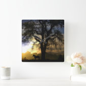 Zonnekuil voor paarden en eik vierkante klok (Huis)