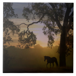 Zonnekunst Tile voor paarden en eikenbomen Tegeltje