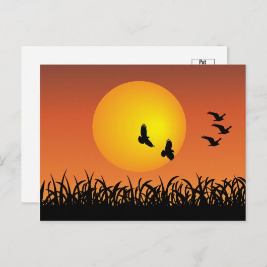 Zonnelandschap met vliegende vogels Eucks Briefkaart (Voorkant / Achterkant)