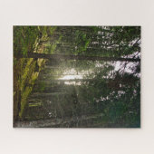 Zonnelicht door de bomen in een bergbos legpuzzel (Horizontaal)