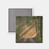 Zonnelicht door een bos magneet (Voorkant / Achterkant)